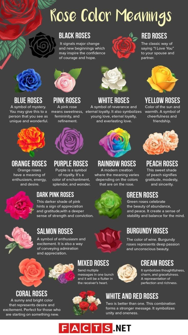 rose-color-meanings-poster-intercept-inter-national