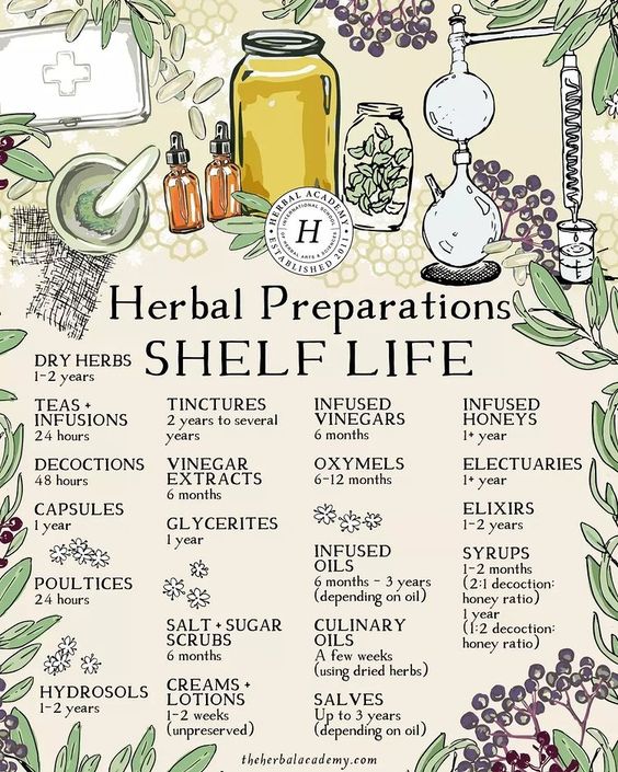 Herbal Preparations Shelf Life Poster - Intercept Inter National