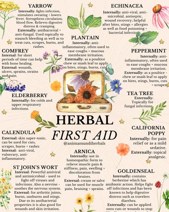 Herbal First Aid Poster - Intercept Inter National